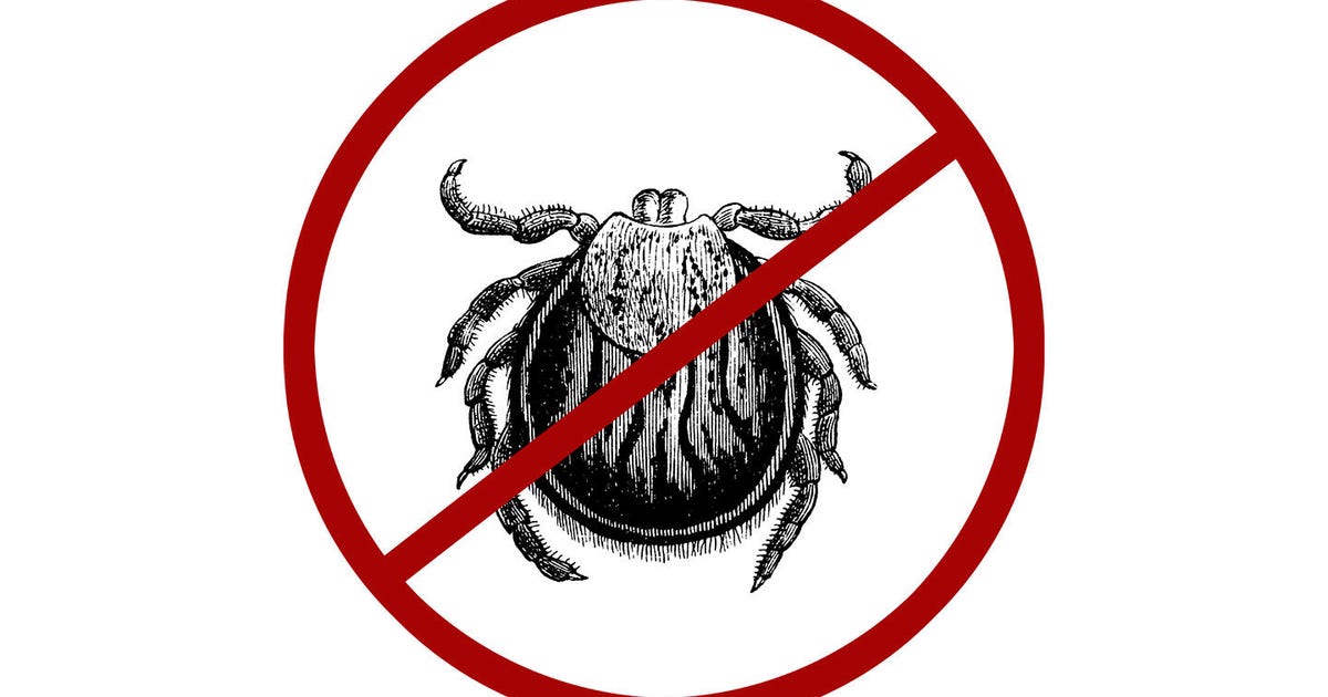 How To Find And Remove Ticks